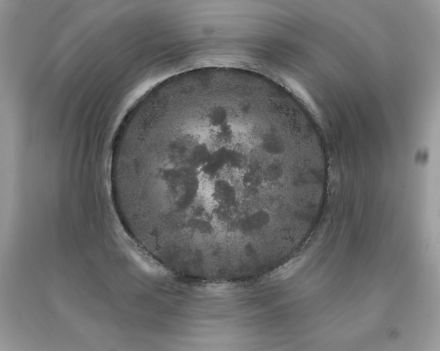 X0000094171035200710261104