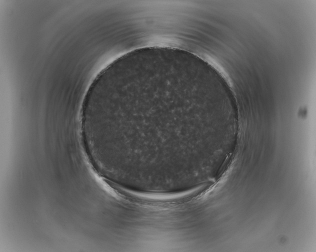 X0000094171037200710261104
