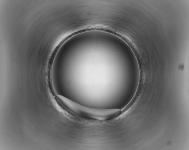 X0000094171038200710261104