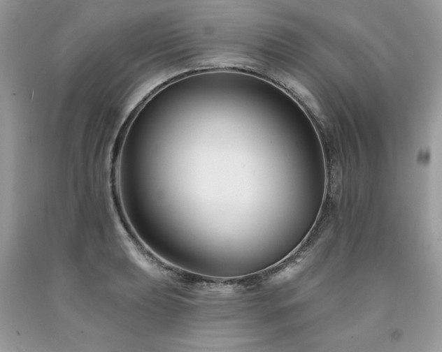 X0000094171039200710261104