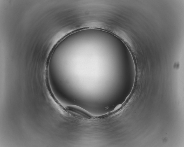 X0000094171040200710261104