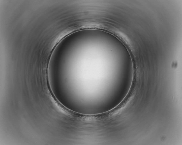 X0000094171041200710261104