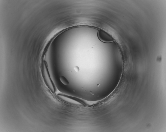 X0000094171043200710261104