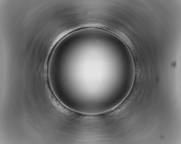 X0000094171044200710261104