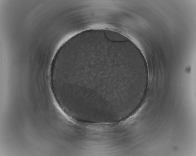 X0000094171045200710261104