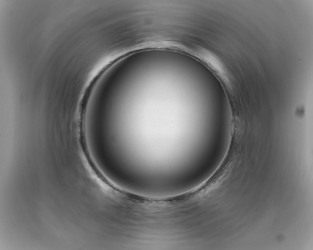 X0000094171046200710261104