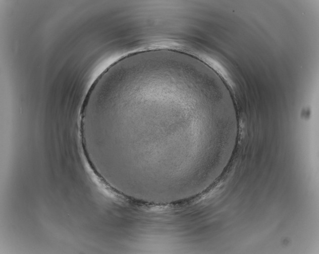 X0000094171047200710261104