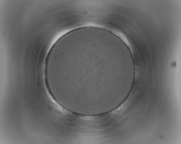 X0000094171048200710261104
