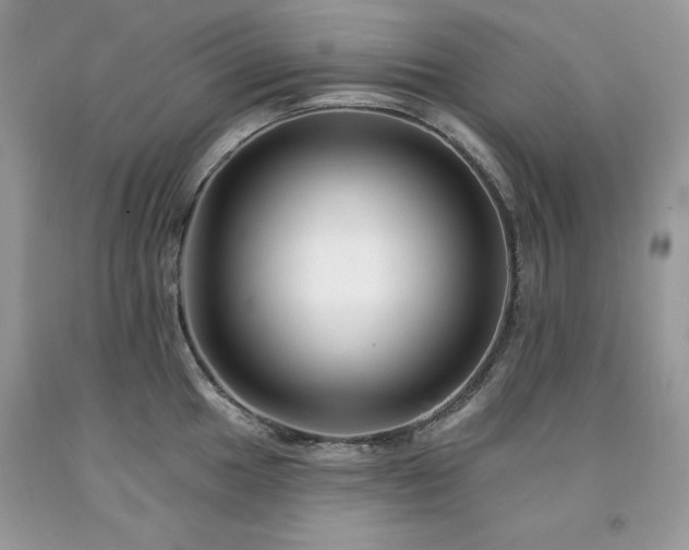 X0000094171049200710261104