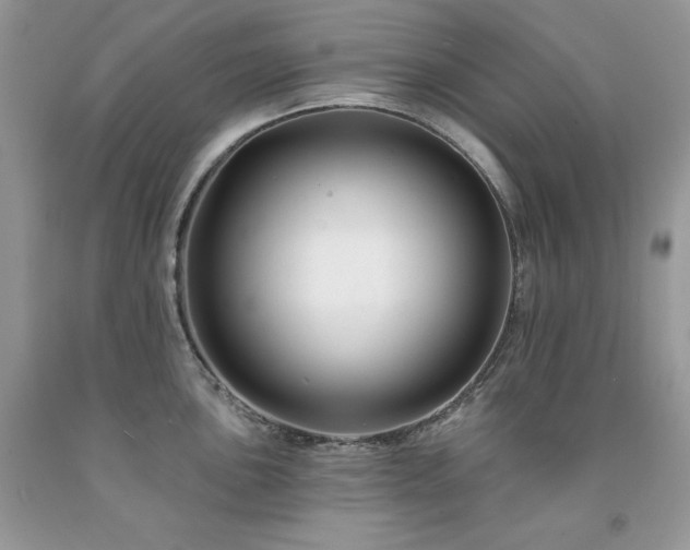 X0000094171051200710261104