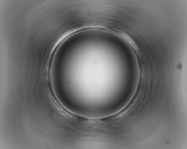 X0000094171052200710261104