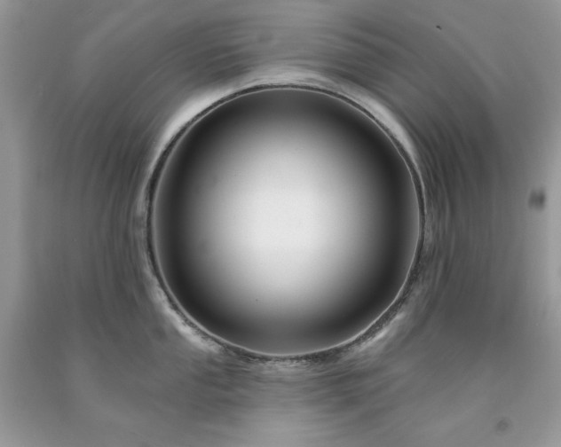 X0000094171053200710261104