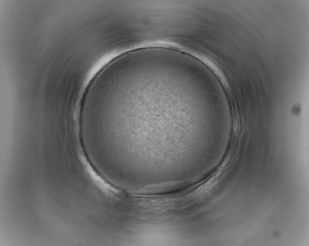 X0000094171054200710261104