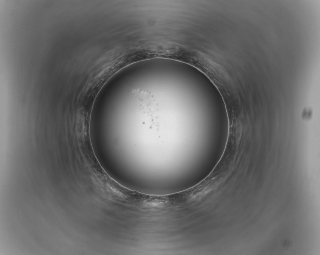 X0000094171058200710261104