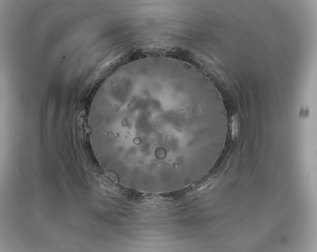 X0000094171059200710261104