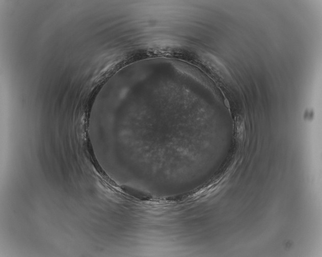 X0000094171060200710261104