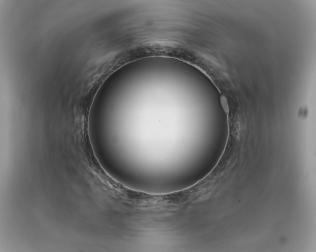 X0000094171061200710261104