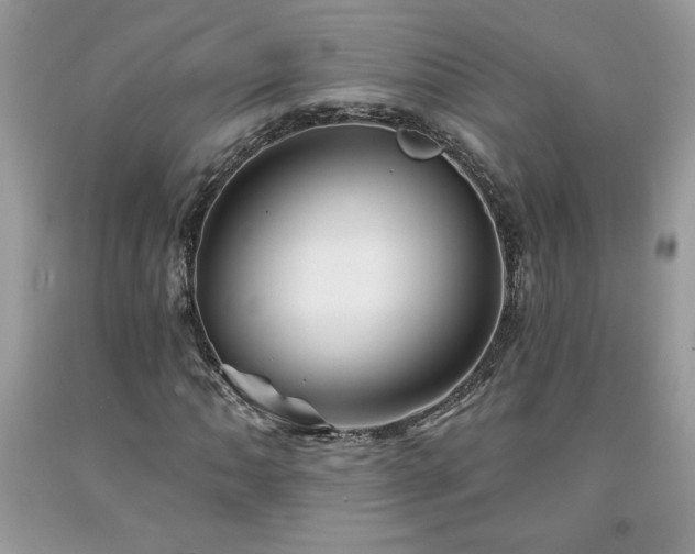 X0000094171062200710261104