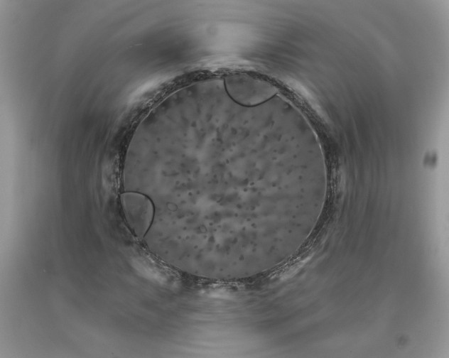X0000094171063200710261104