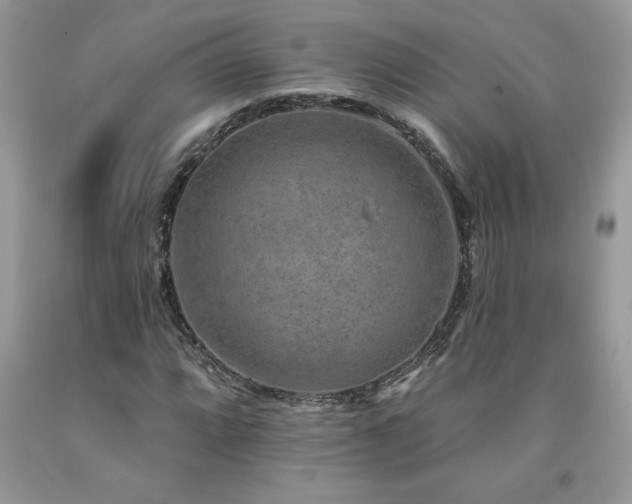 X0000094171064200710261104