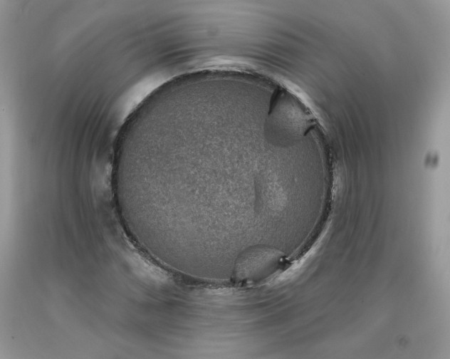 X0000094171066200710261104
