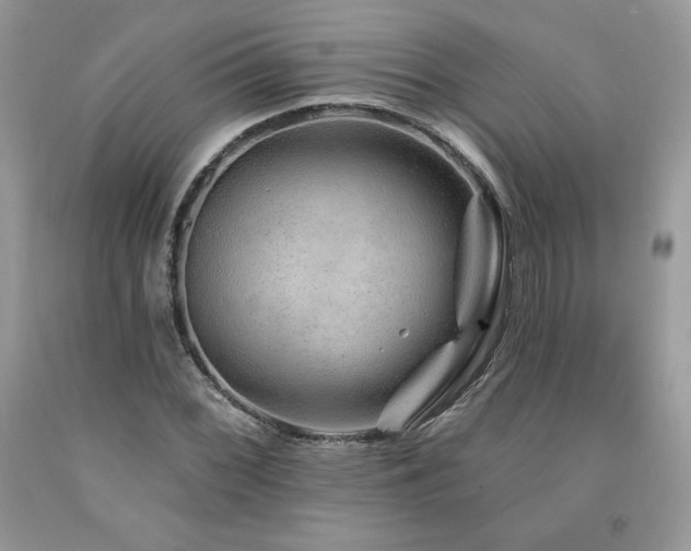 X0000094171068200710261104