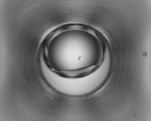 X0000094171069200710261104