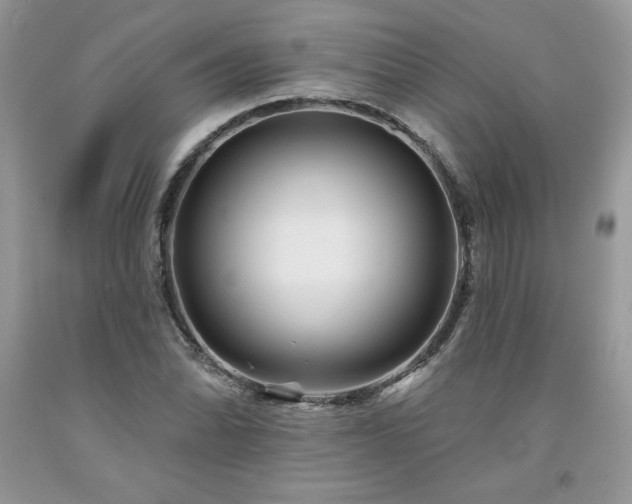 X0000094171070200710261103