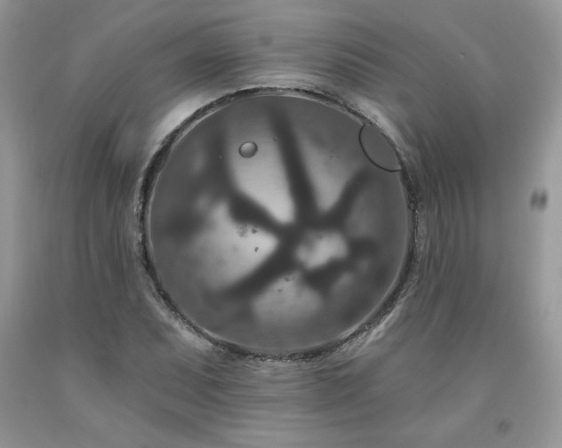 X0000094171071200710261103