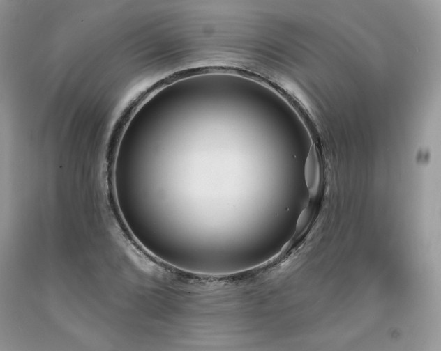 X0000094171072200710261103