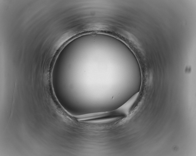 X0000094171073200710261103