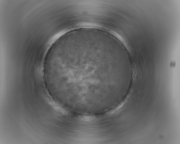 X0000094171074200710261103