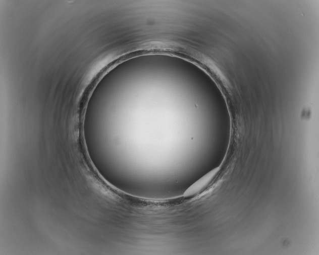 X0000094171075200710261103