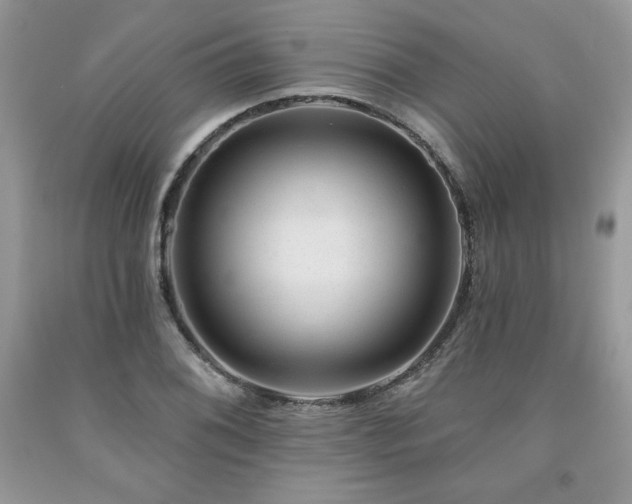 X0000094171076200710261103