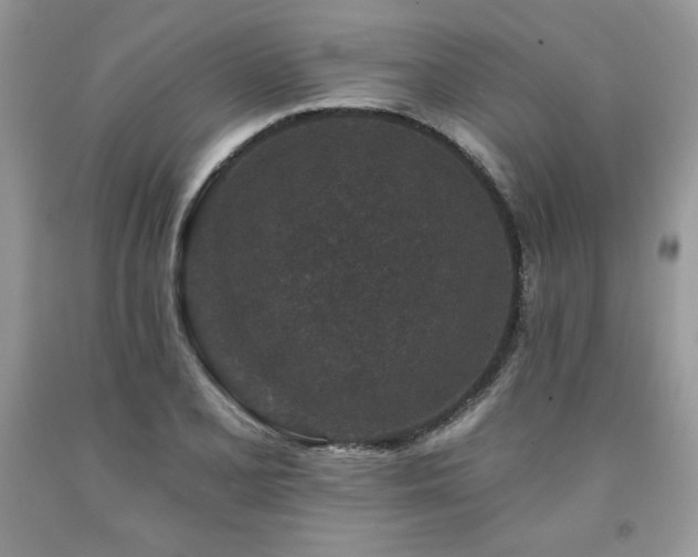 X0000094171077200710261103