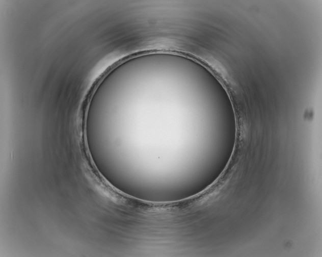 X0000094171078200710261103