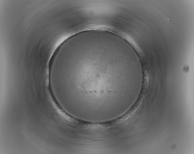 X0000094171079200710261103