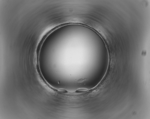 X0000094171080200710261103