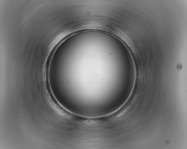 X0000094171082200710261103