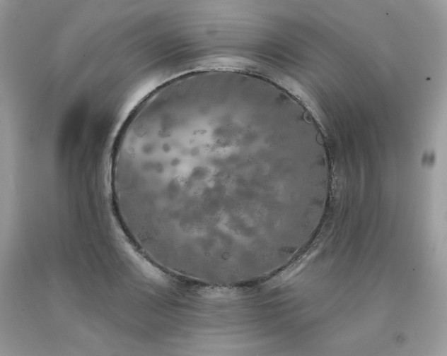 X0000094171083200710261103