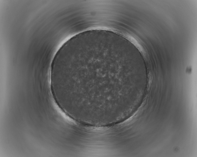X0000094171084200710261103