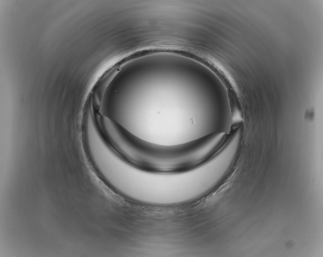 X0000094171085200710261103