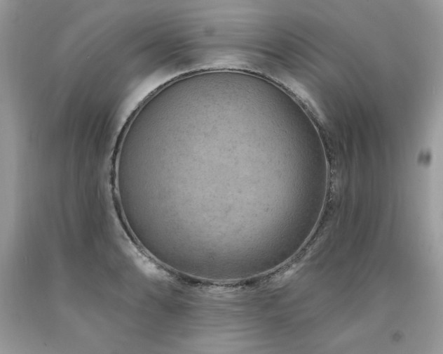 X0000094171086200710261103
