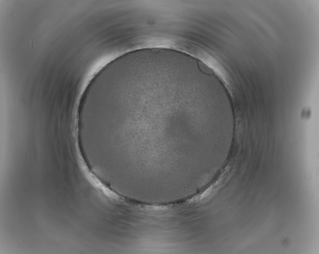 X0000094171088200710261103