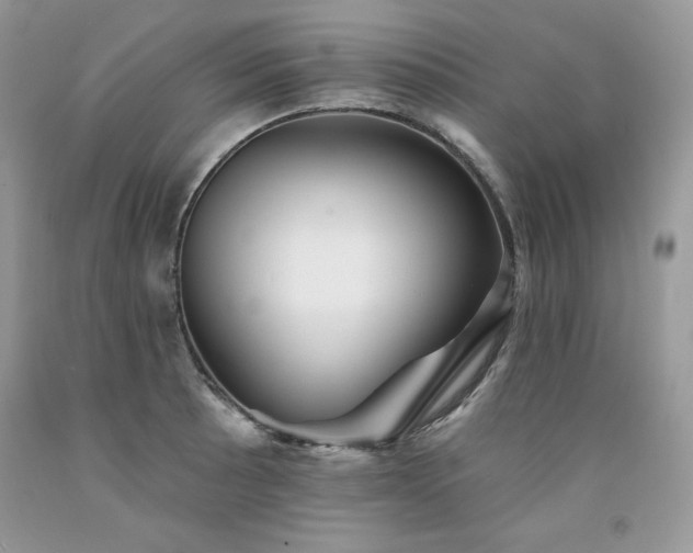 X0000094171089200710261103