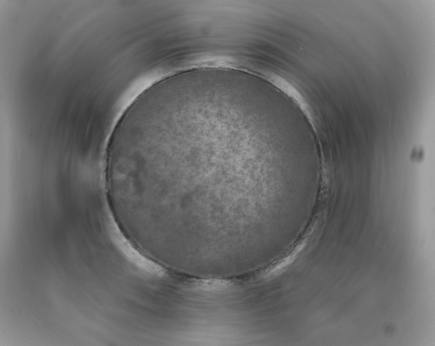 X0000094171090200710261103