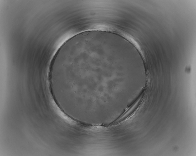 X0000094171091200710261103