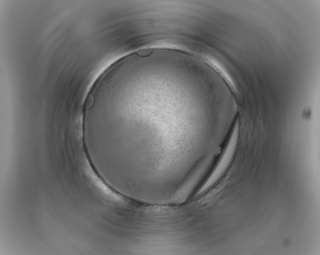 X0000094171092200710261103