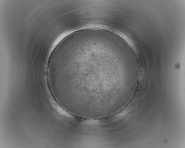 X0000094171094200710261103