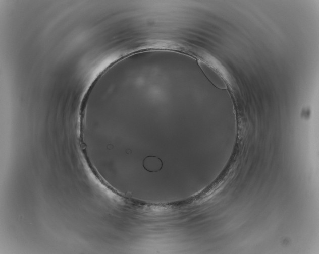 X0000094171095200710261103